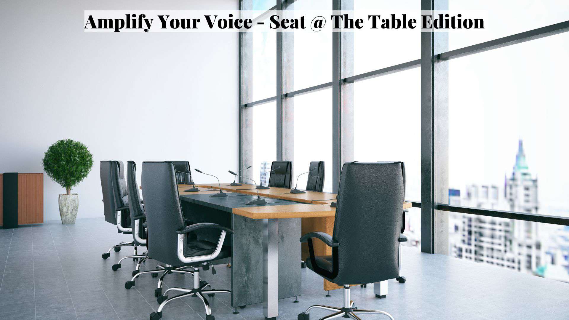 Amplify Your Voice - Seat at The Table (2)