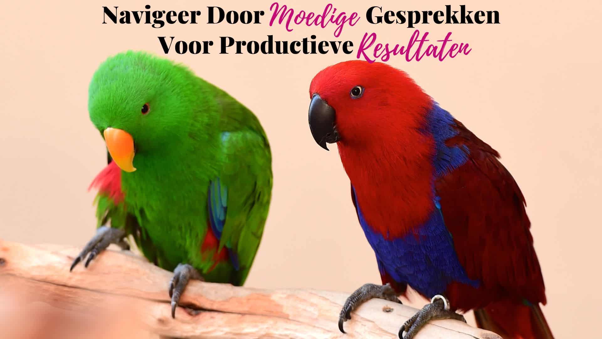 Navigeer Door Moedige Gesprekken Voor Productieve Resultaten - Vivian Acquah