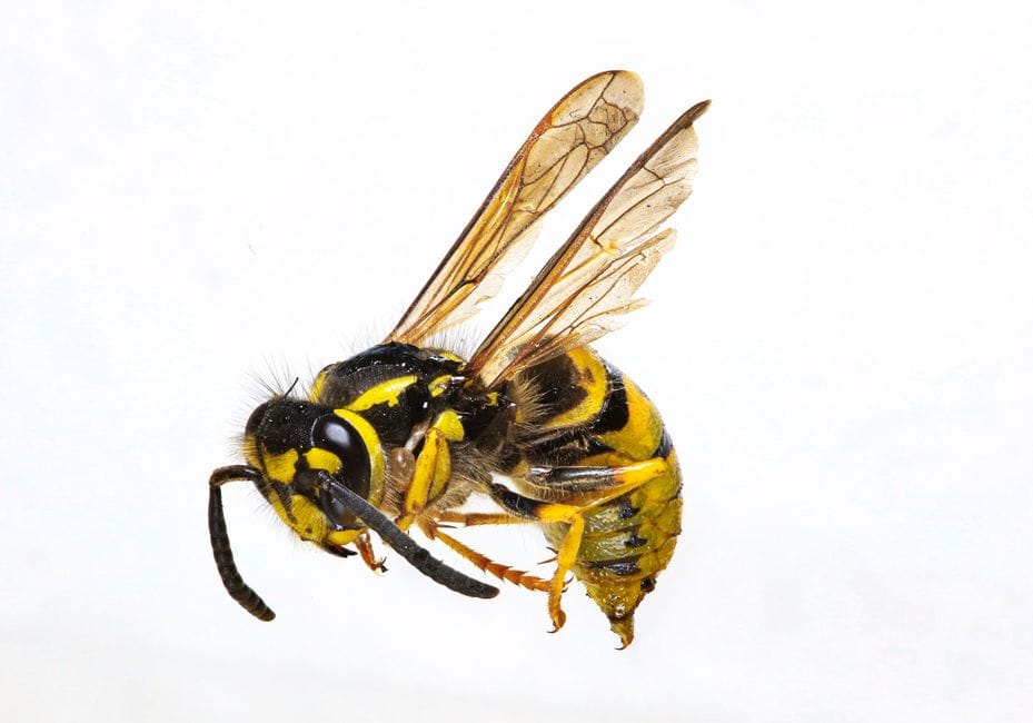 3 Microagressie voorbeelden en hoe ze te vermijden